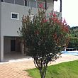 Imagem de 