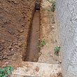 Imagem de 